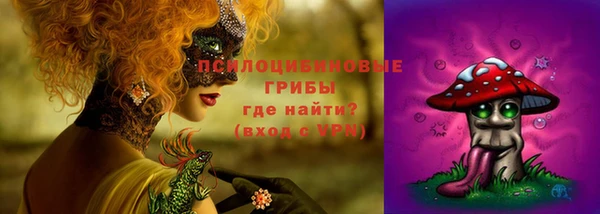 прущая мука Богородск