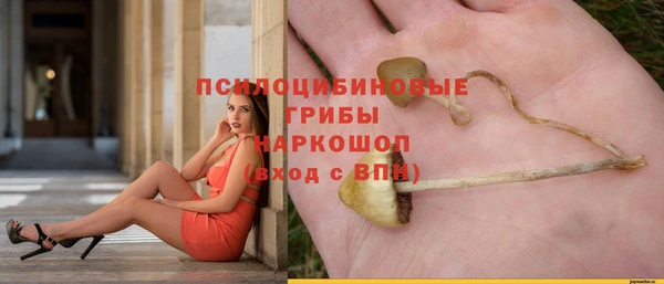 эйфоретик Богородицк