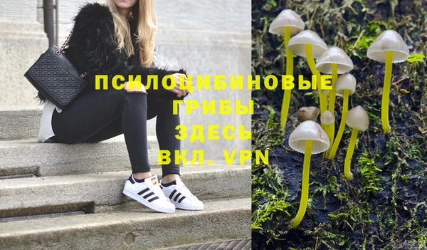 эйфоретик Богородицк